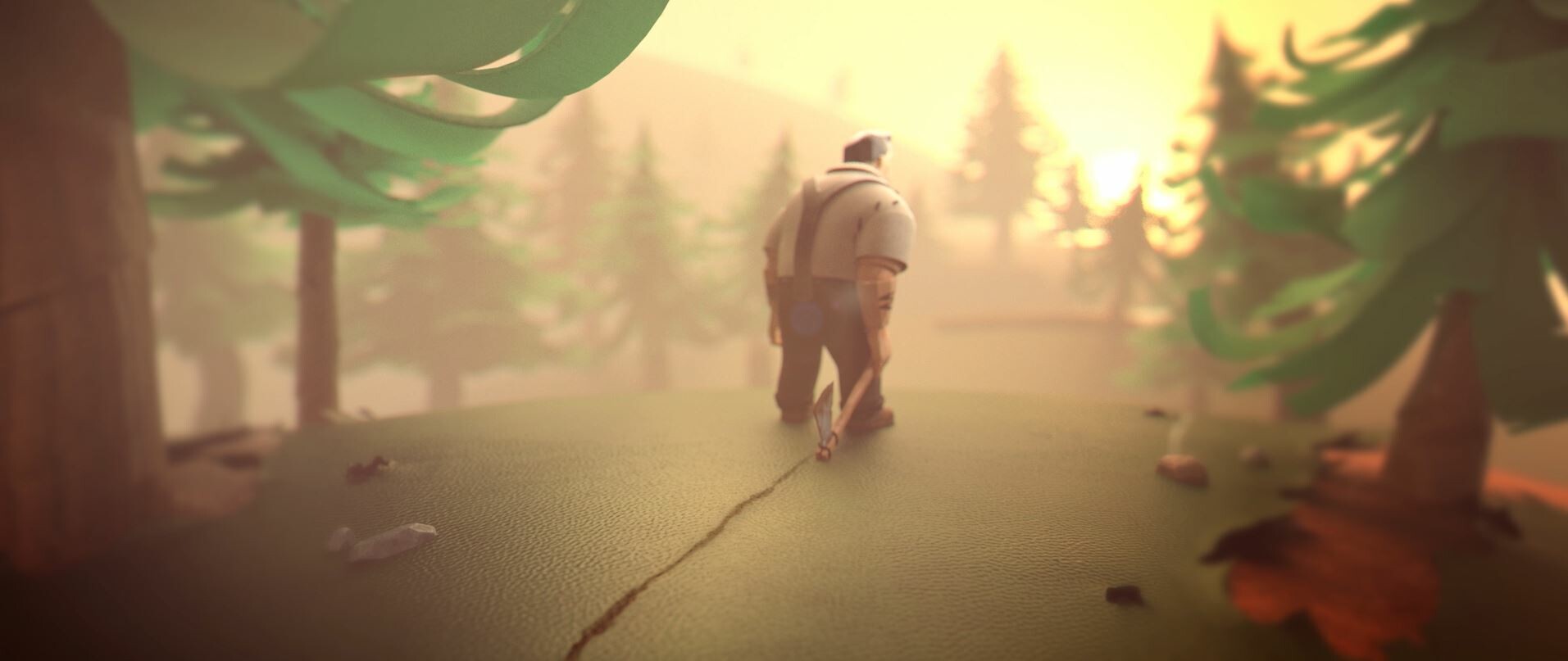 Boy in the Woods Image 2